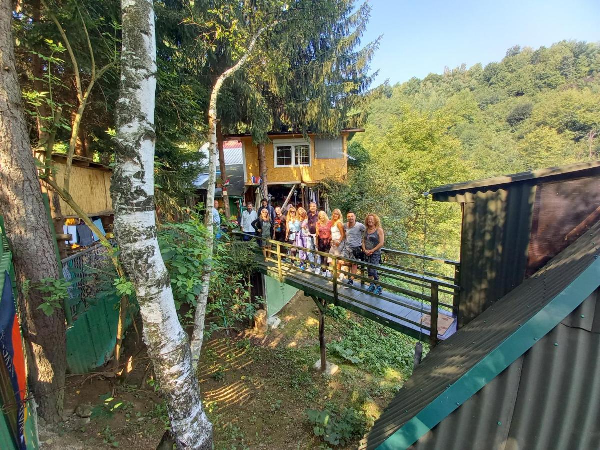 Tree House Lejlighed Visoko Eksteriør billede