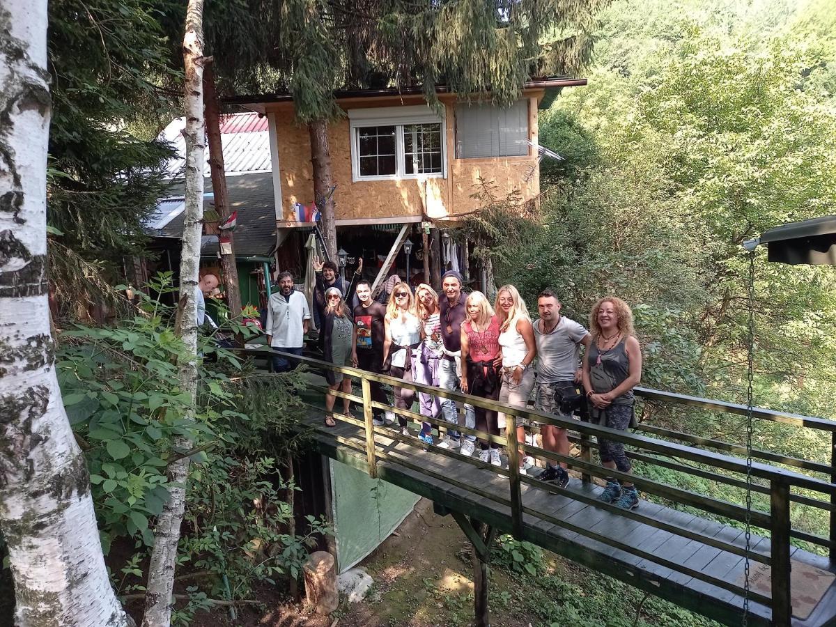 Tree House Lejlighed Visoko Eksteriør billede