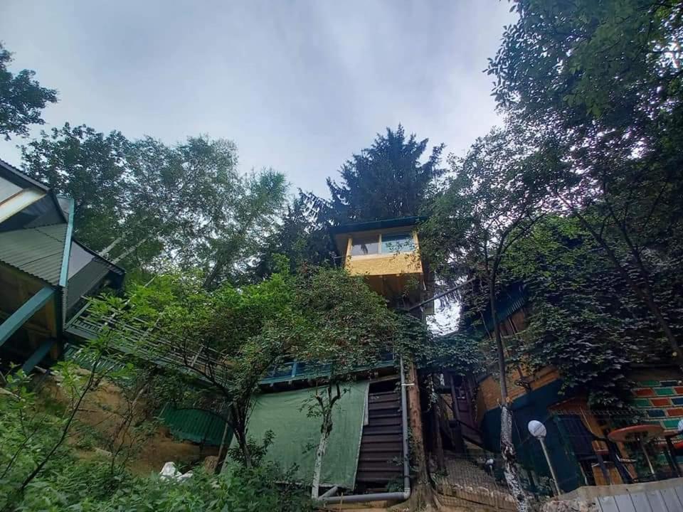 Tree House Lejlighed Visoko Eksteriør billede